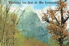 ESPAGNE TORRE DE COMA PICOS DE EUROPA, usado comprar usado  Enviando para Brazil