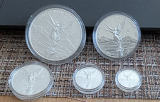 Mexiko silber libertad gebraucht kaufen  Kleinwallstadt