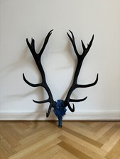 Hirschgeweih strasssteinen bes gebraucht kaufen  München