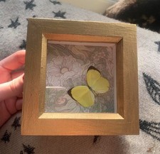 Little yellow butterfly for sale  DALKEITH