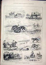 Original old antique for sale  UK