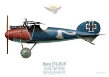 Print albatros paul d'occasion  Ribécourt-Dreslincourt