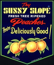 Vintage sign sunny for sale  Clinton
