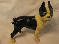boston terrier dogs for sale boston terrier dogs for sale York