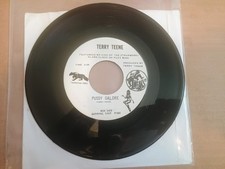 Terry teene unplayed for sale  Las Cruces