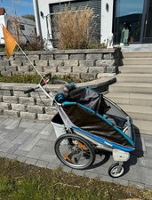 Thule chariot fahrradanhänger gebraucht kaufen  Muldestausee