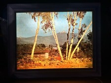 x 50 34 painting for sale  Chambersburg