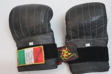 Guantoni boxe autografati usato  Portici