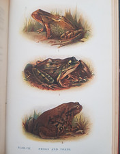 1911 life ponds for sale  NORTHWICH