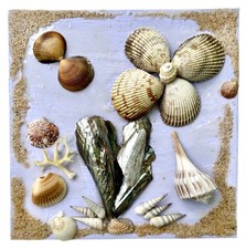 Sea shell wall for sale  Port Richey