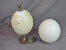 Ostrich egg box d'occasion  Expédié en Belgium