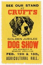 Cinderella collection crufts for sale  LEOMINSTER