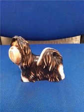 shih tzu for sale shih tzu for sale PENRITH