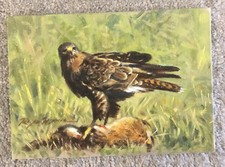 Original acrylic board for sale  DROITWICH