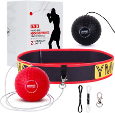 Reflex ball boxe usato  Terralba