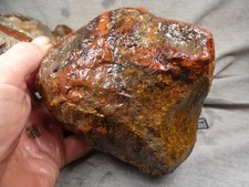 East java plume for sale  Hood River