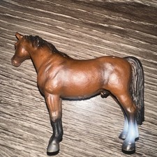 arabian gelding for sale  Laurel