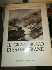 Vaschetto camusso gran usato  Torino
