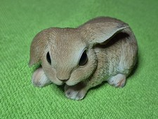 Mini holland lop for sale  Cleveland