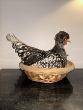 Vintage beautiful taxidermy for sale  Waynesboro