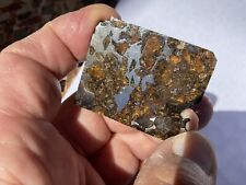 Seymchan pallasite 23.8g d'occasion  Expédié en Belgium