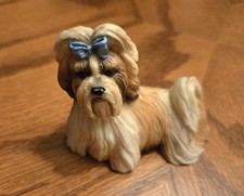 Shih tzu puppy d'occasion  Expédié en Belgium
