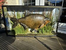 .j.hall 15lb common for sale  ROMFORD