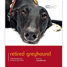 Julia barnes greyhound for sale  STOCKPORT