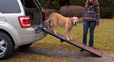 Large dog 200 for sale  Ludington