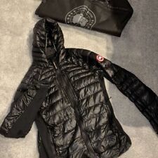 Canada goose hybridge for sale  Ireland