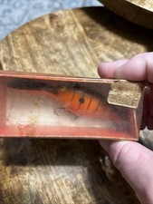 Norman deep little for sale  Slidell