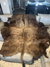 Real buffalo hide for sale  Grand Junction