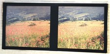 Autochrome vue stéréo d'occasion  Louhans