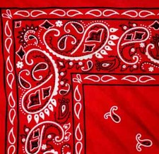 Pack paisley bandanas for sale  Austin