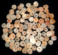 Nice sahara neolithic for sale  La Junta