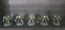 Warm 40k Raptor Terminator Squad.  Pintado profissional. comprar usado  Enviando para Brazil