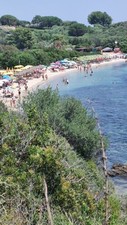 Appartamento affitto usato  Palermo