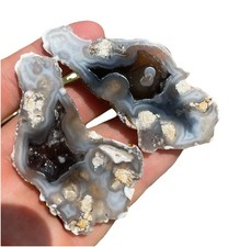Agatized corral piece for sale  Hollywood
