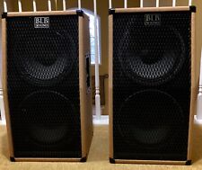 2x12 guitar cabs d'occasion  Expédié en Belgium