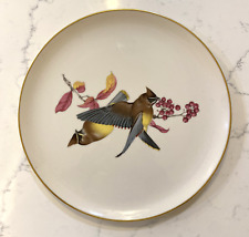 American songbird plate for sale  Stockbridge