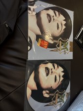 Madonna The Immaculate Collection 12'' Vinyl Picture Disc Rare Collectible.  comprar usado  Enviando para Brazil