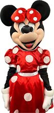 Hire minnie mouse for sale  DUDLEY