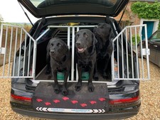 Schmidt hundedoppelbox audi gebraucht kaufen  Burgwedel