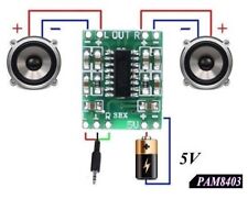 Mini amplificatore digitale usato  Carapelle