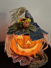 Pumpkin fiber optic for sale  Duck River