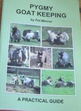 Pygmy goat keeping for sale  USA