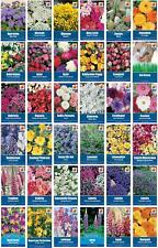 Colourful flower seeds for sale  UK