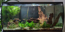Tropical fish tank for sale  PONTYPRIDD