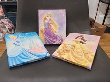 Disney princess canvas for sale  Brookfield