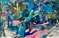 Claudio malacarne 100x150 usato  Teramo